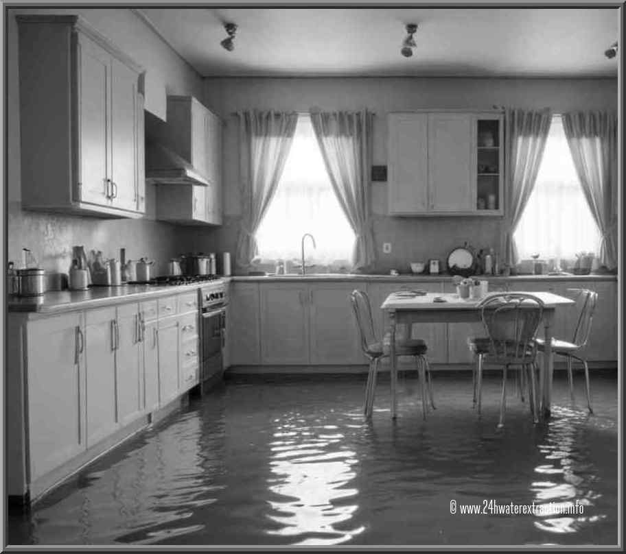 Highly Trained Technicians Ready to Handle Any Water Extraction Situation: Your Reliable Partner in Flood Cleanup - Emergency Water Damage Restoration 24/7