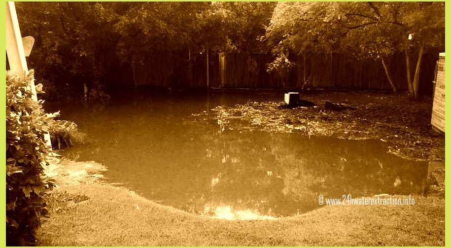 Cost-Effective Flood Cleanup Solutions: Quality Standards You Can Rely On - Emergency Water Damage Restoration 24/7